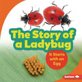 The Story of a Ladybug - MPHOnline.com