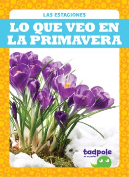 Lo que veo en la primavera/ What I See in Spring - MPHOnline.com