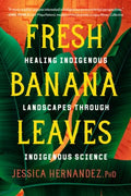 Fresh Banana Leaves - MPHOnline.com