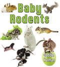 Baby Rodents - MPHOnline.com