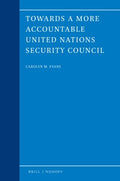 Towards a More Accountable United Nations Security Council - MPHOnline.com