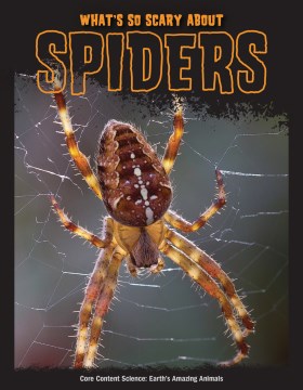 What's So Scary About Spiders? - MPHOnline.com