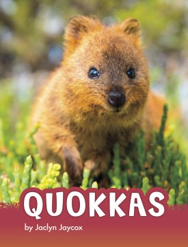 Quokkas - MPHOnline.com