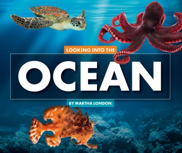 Looking into the Ocean - MPHOnline.com