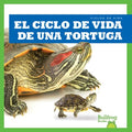 El ciclo de vida de una tortuga/ A Turtle's Life Cycle - MPHOnline.com