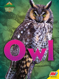 Owl - MPHOnline.com