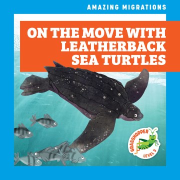 On the Move With Leatherback Sea Turtles - MPHOnline.com