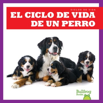 El ciclo de vida de un perro/ A Dog's Life Cycle - MPHOnline.com