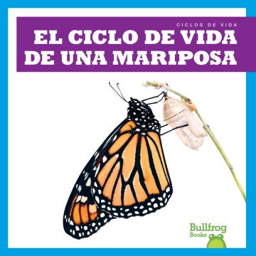 El ciclo de vida de una mariposa/ A Butterfly's Life Cycle - MPHOnline.com