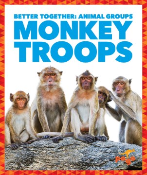 Monkey Troops - MPHOnline.com