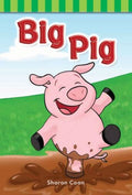 Big Pig - MPHOnline.com