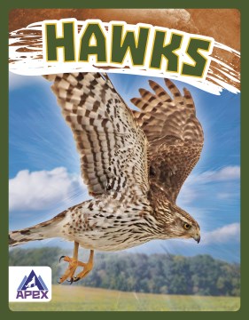 Hawks - MPHOnline.com