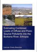 Estimating Combined Loads of Diffuse and Point-Source Pollutants into the Borkena River, Ethiopia - MPHOnline.com