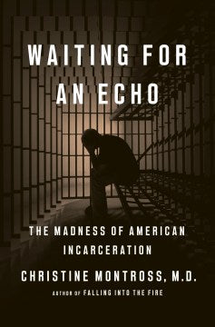 Waiting for an Echo : The Madness Of American Incarceration - MPHOnline.com