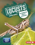 Locusts - MPHOnline.com