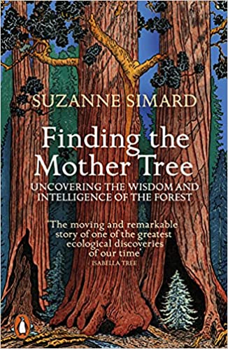 Finding the Mother Tree : Uncovering the Wisdom and Intelligence of the Forest - MPHOnline.com