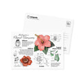 Postcard MSP138 Lokapedia: Malaysia's Floral Treasures - MPHOnline.com