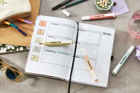 STABILO Swing Cool Highlighter – NatureCOLORS (Pack of 6) - MPHOnline.com