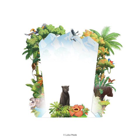 360 3D Greetings Card: Tropical Rainforest