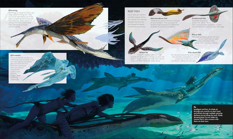 The World of Avatar Updated Edition