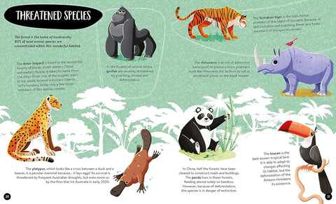 What, How, Why: The Earth - MPHOnline.com