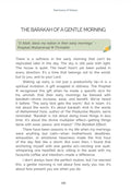 Sanctuary of Solace - Whisper of Peace in a Restless World (2026) - MPHOnline.com