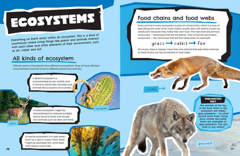 A look inside All About Animals (Collins) - MPHOnline.com