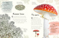 A look inside An Anthology of Fungi (DK Children's Anthologies) - MPHOnline.com