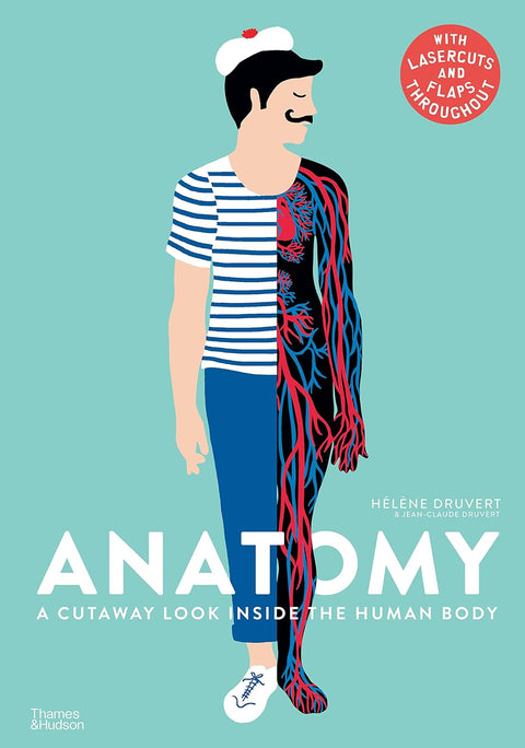 Anatomy: A Cutaway Look Inside the Human Body - MPHOnline.com