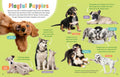 A look inside Hello, Dogs! (Animal Friends) - MPHOnline.com
