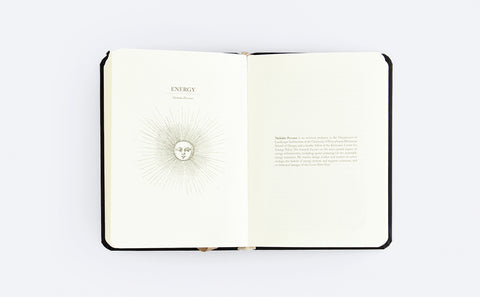 The Landscape Project - MPHOnline.com