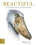 Beautiful: A Celebration of Evolution - MPHOnline.com