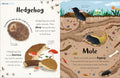 Bedtime Books - MPHOnline.com