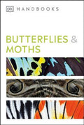 Butterflies And Moths - MPHOnline.com