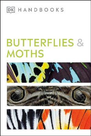 Butterflies And Moths - MPHOnline.com