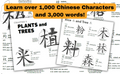 Written Chinese Made Easy: A Beginner's Guide to Learning 1,000 Chinese Characters (Online Audio) - MPHOnline.com