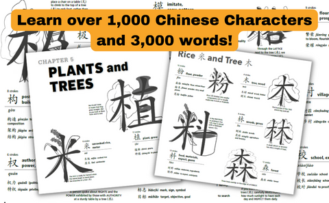 Written Chinese Made Easy: A Beginner's Guide to Learning 1,000 Chinese Characters (Online Audio) - MPHOnline.com
