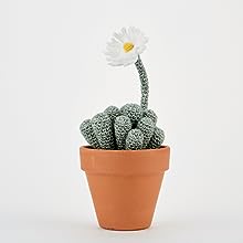 Stylish Succulents to Crochet : 15 colourful cactuses and other pot plants to make for your home - MPHOnline.com