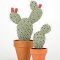 Crocheted Cactuses : 16 Woolly Succulents to Make For Your Home - MPHOnline.com