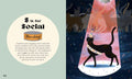 Catphabet: A Whimsical Celebration of Our Favourite Feline Friends - MPHOnline.com