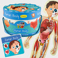 Puzzle Play Human Body - MPHOnline.com