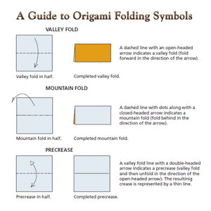 Deluxe Origami for Beginners Kit : 30 Classic Models with Amazing Folding Papers - MPHOnline.com