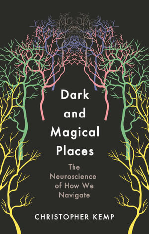 Dark and Magical Places The Neuroscience of How We Navigate - MPHOnline.com