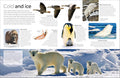 A look inside DK Eyewitness: Animal - MPHOnline.com