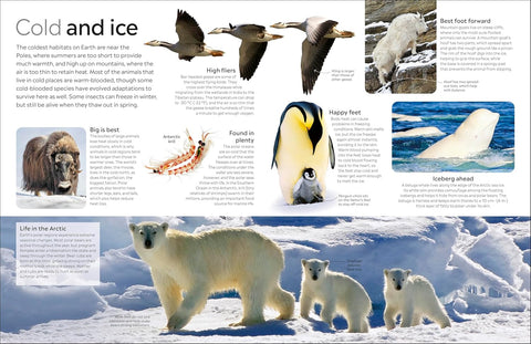 A look inside DK Eyewitness: Animal - MPHOnline.com