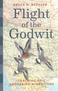 Flight of the Godwit - MPHOnline.com