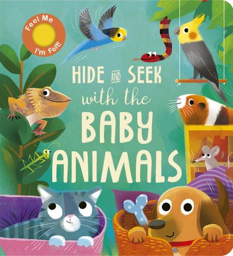 Hide and Seek with the Baby Animals - MPHOnline.com