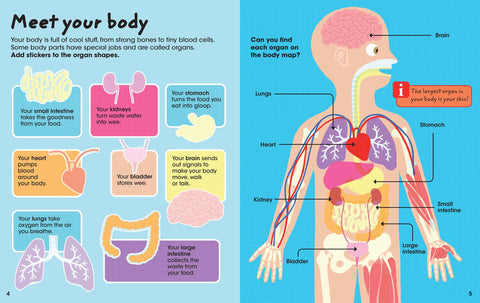 Factivity Bubble Sticker Activity: Human Body - MPHOnline.com