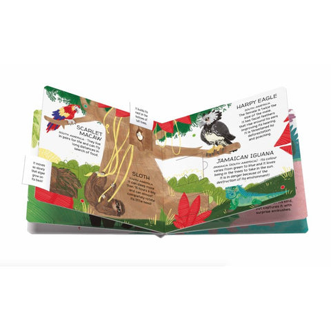 Animals To Save: Tropical Forests (Lift The Flap Book with 28 Memory Cards) - MPHOnline.com