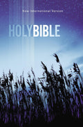 New International Version (NIV) Value Outreach Bible (Paperback) - MPHOnline.com